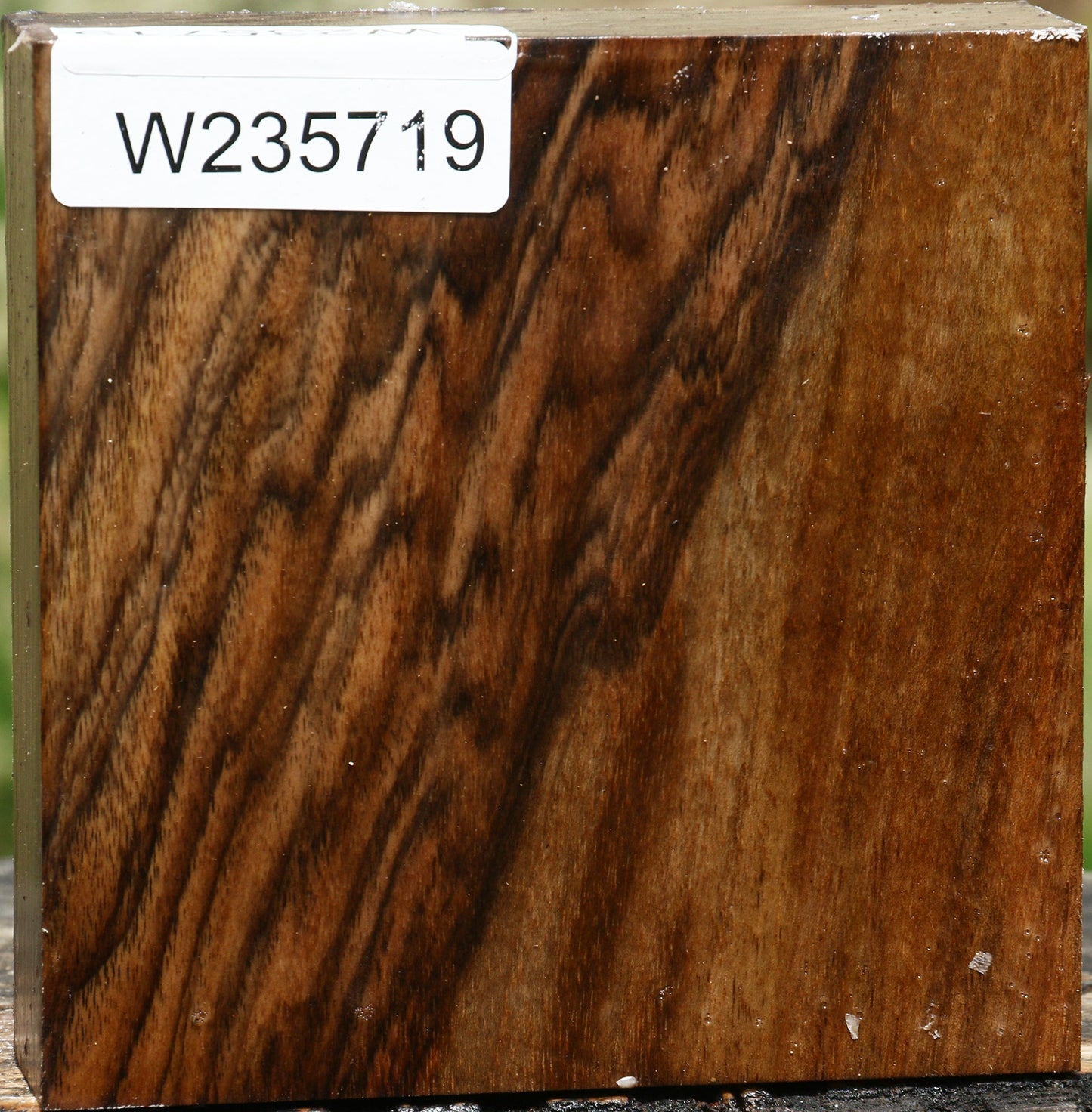 Extra Fancy English Walnut Bowl Blank