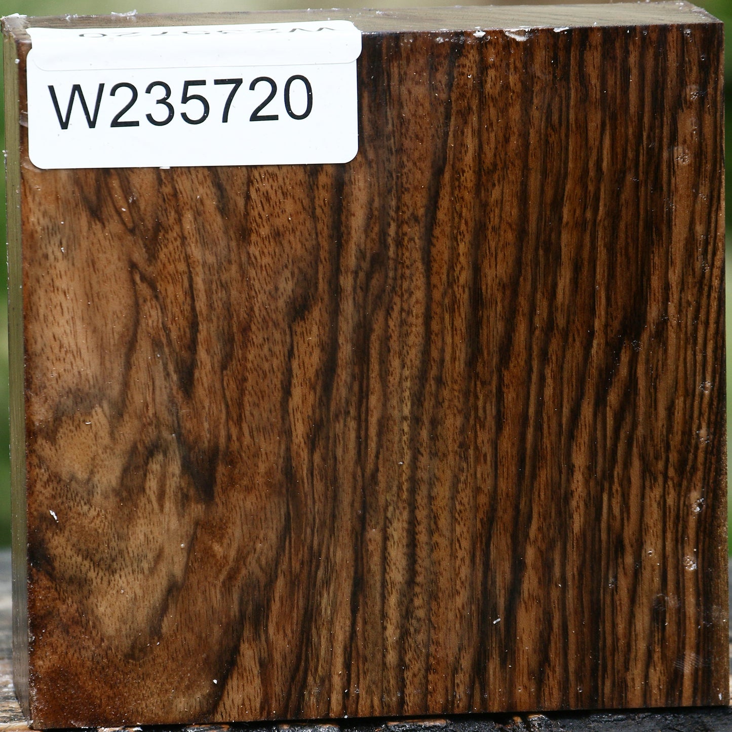 Extra Fancy English Walnut Bowl Blank