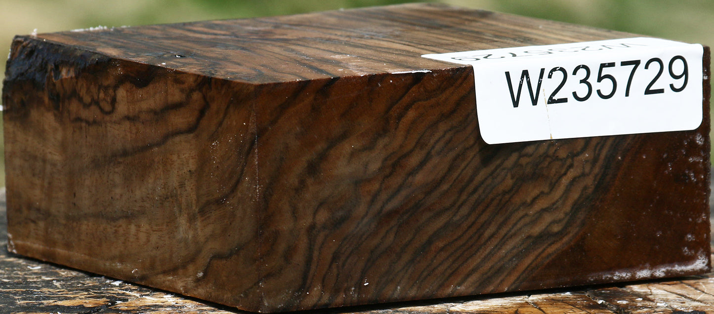 Extra Fancy English Walnut Bowl Blank