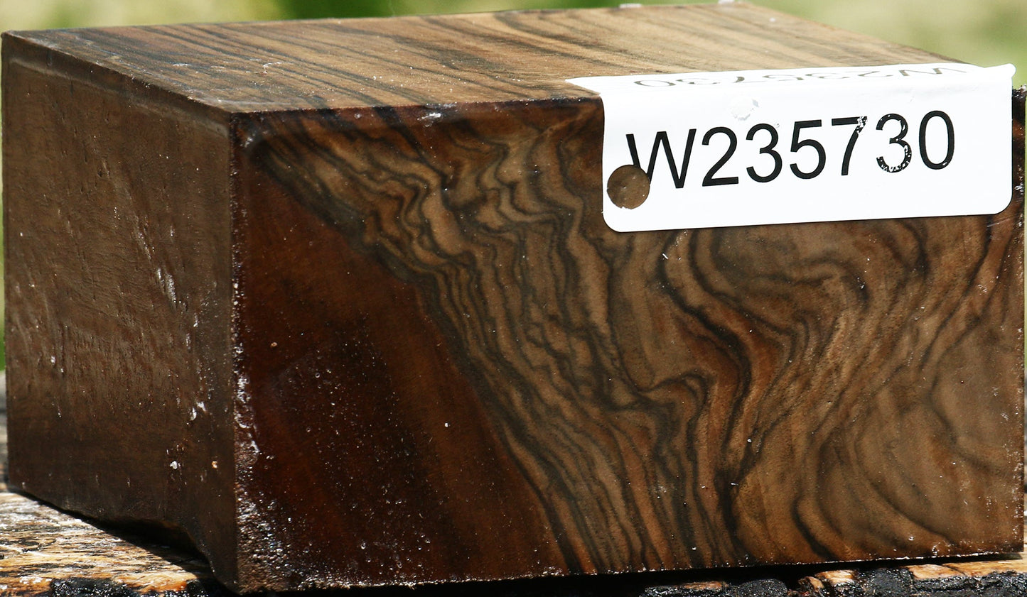 Extra Fancy English Walnut Bowl Blank