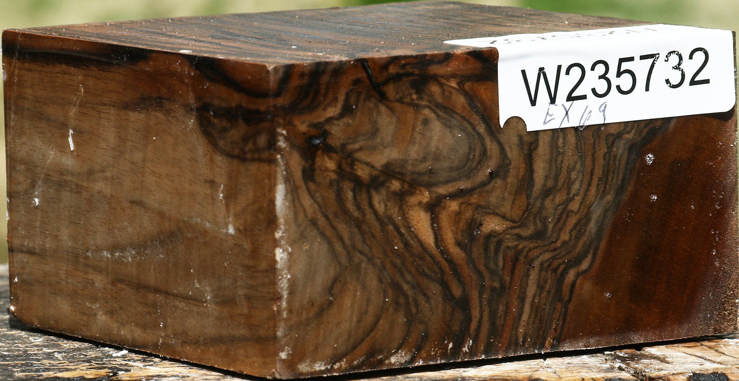Exhibition English Walnut Bowl Blank