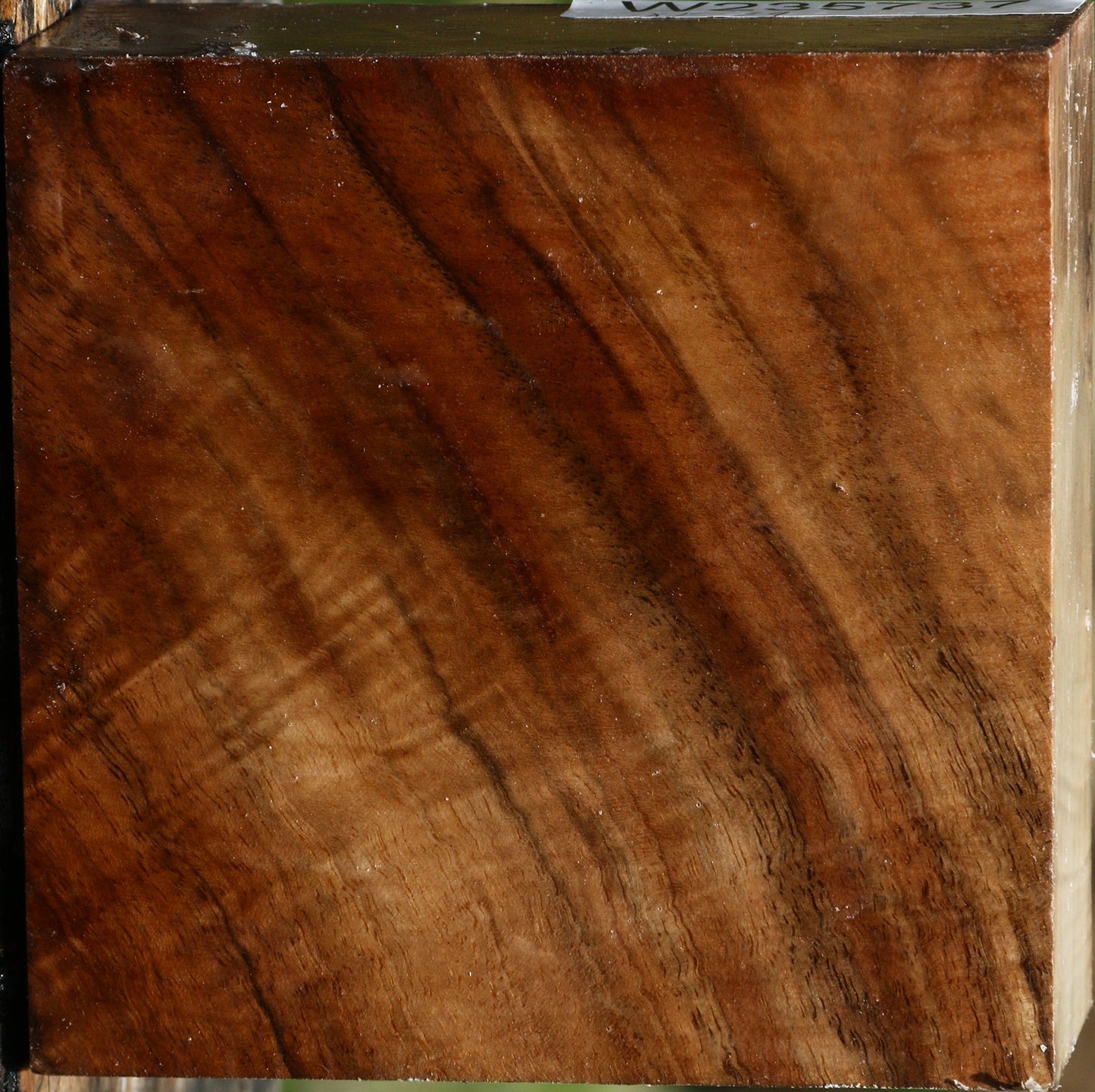 Extra Fancy English Walnut Bowl Blank