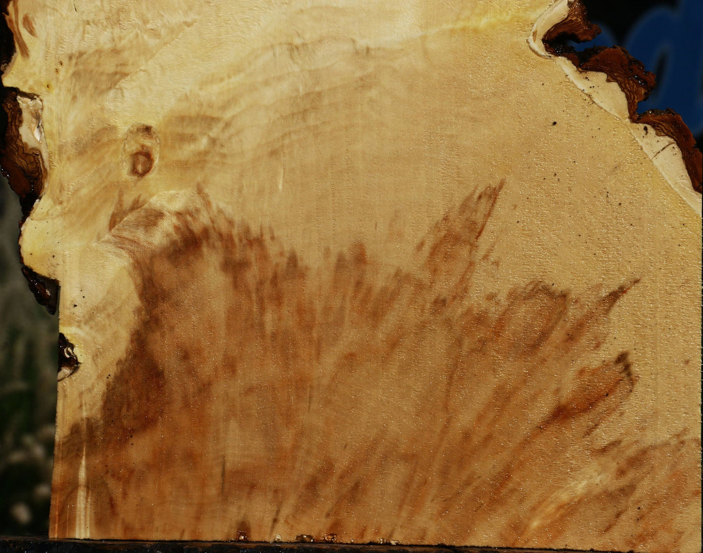 Extra Fancy Box Elder Slice