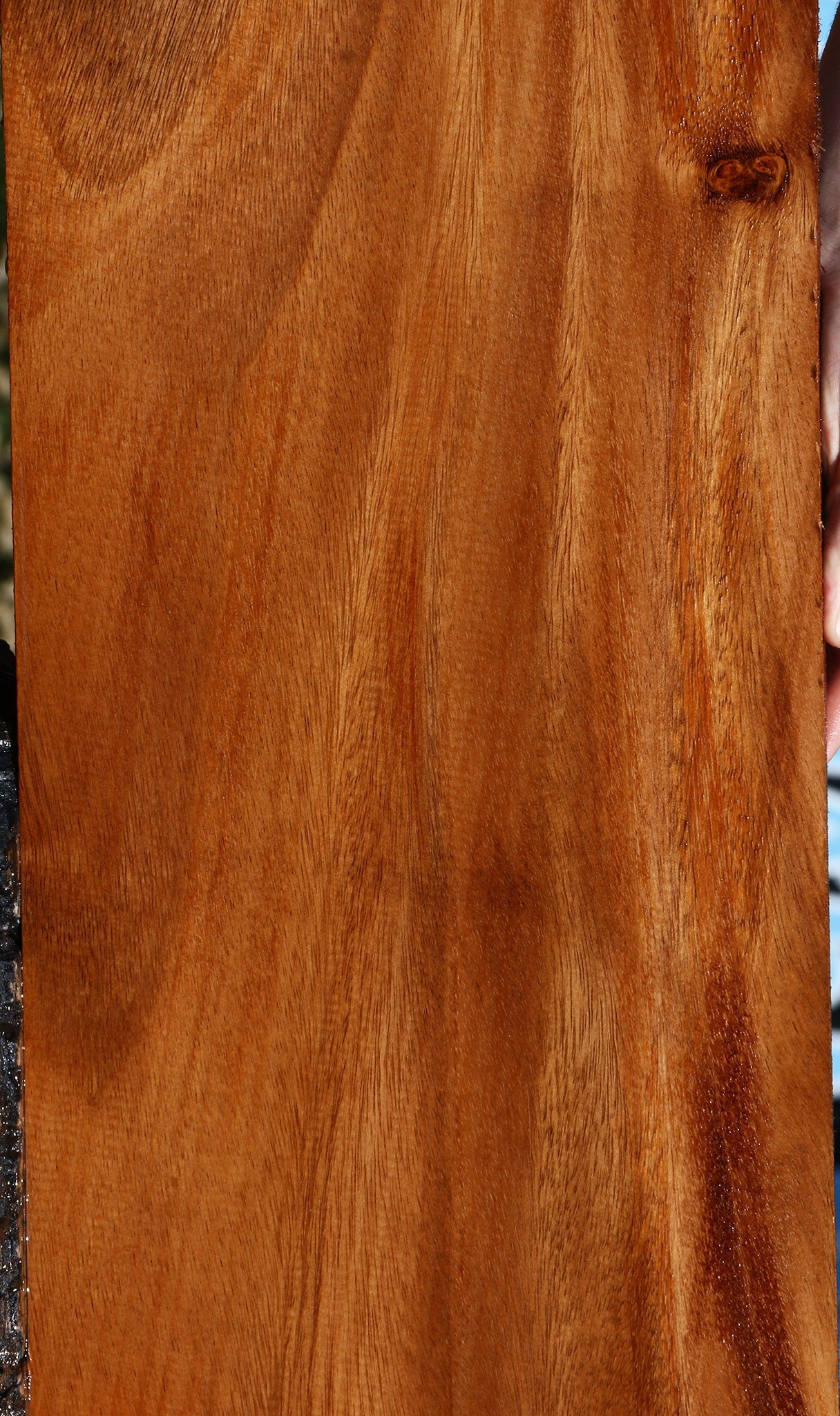 Figured Monkeypod Lumber