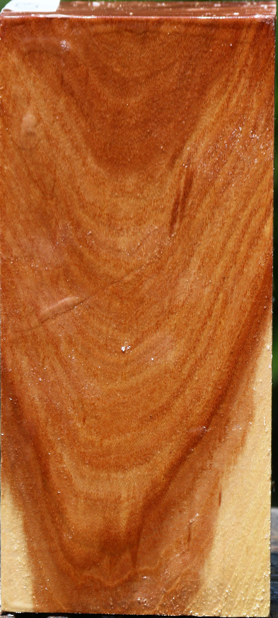 Chinese Elm Turning Square