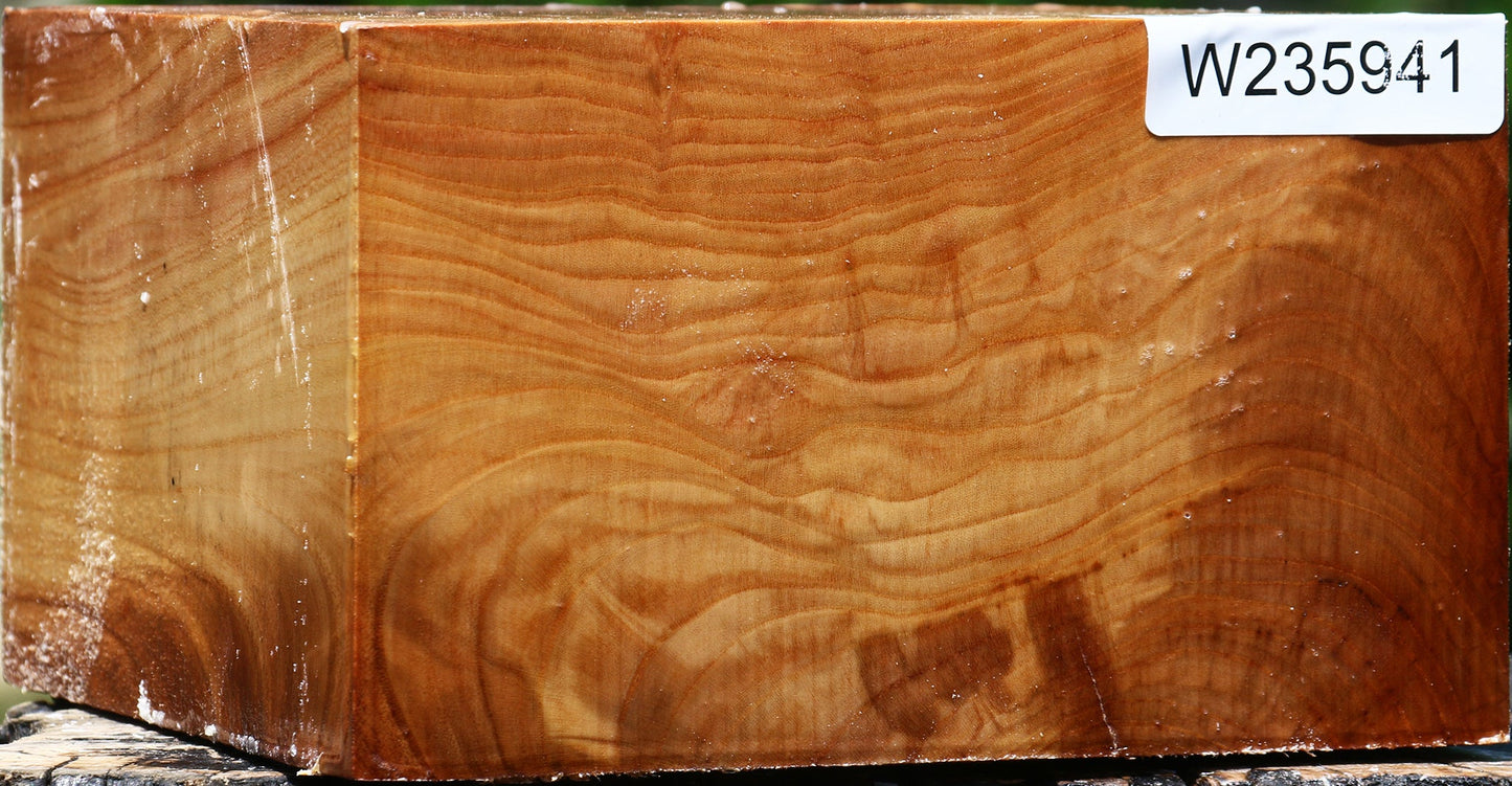 Figured Chinese Elm Bowl Blank