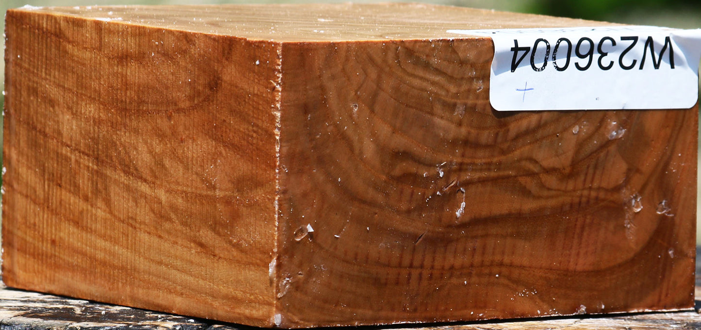 Figured Chinese Elm Bowl Blank