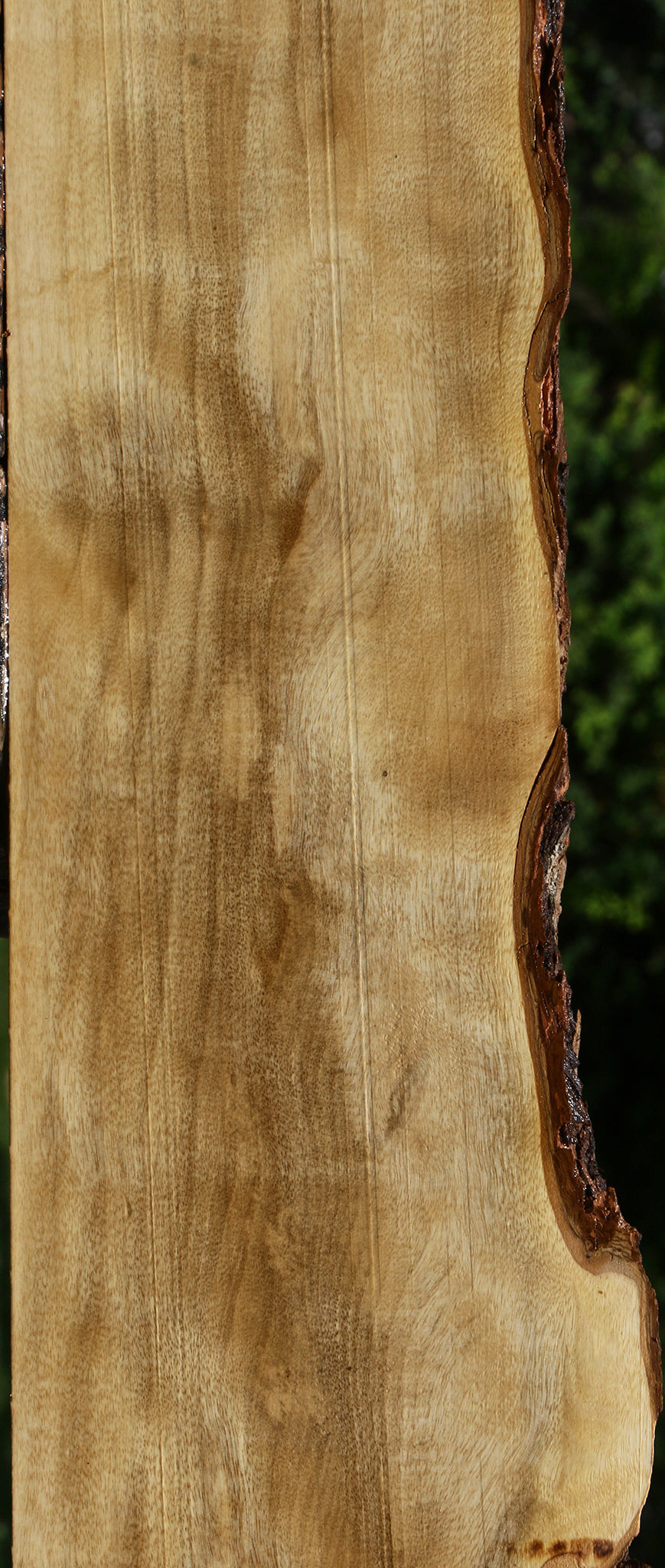 Figured Hackberry Live Edge Lumber