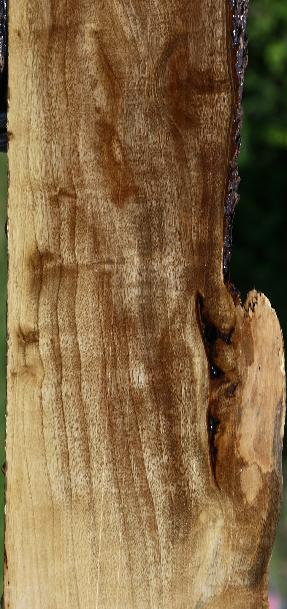 Extra Fancy Hackberry Live Edge Lumber