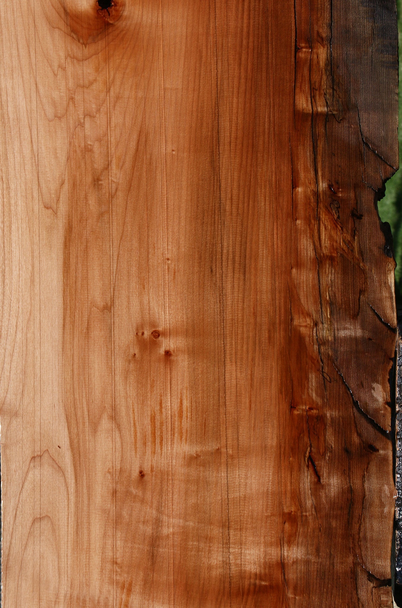 Figured Maple Live Edge Slab