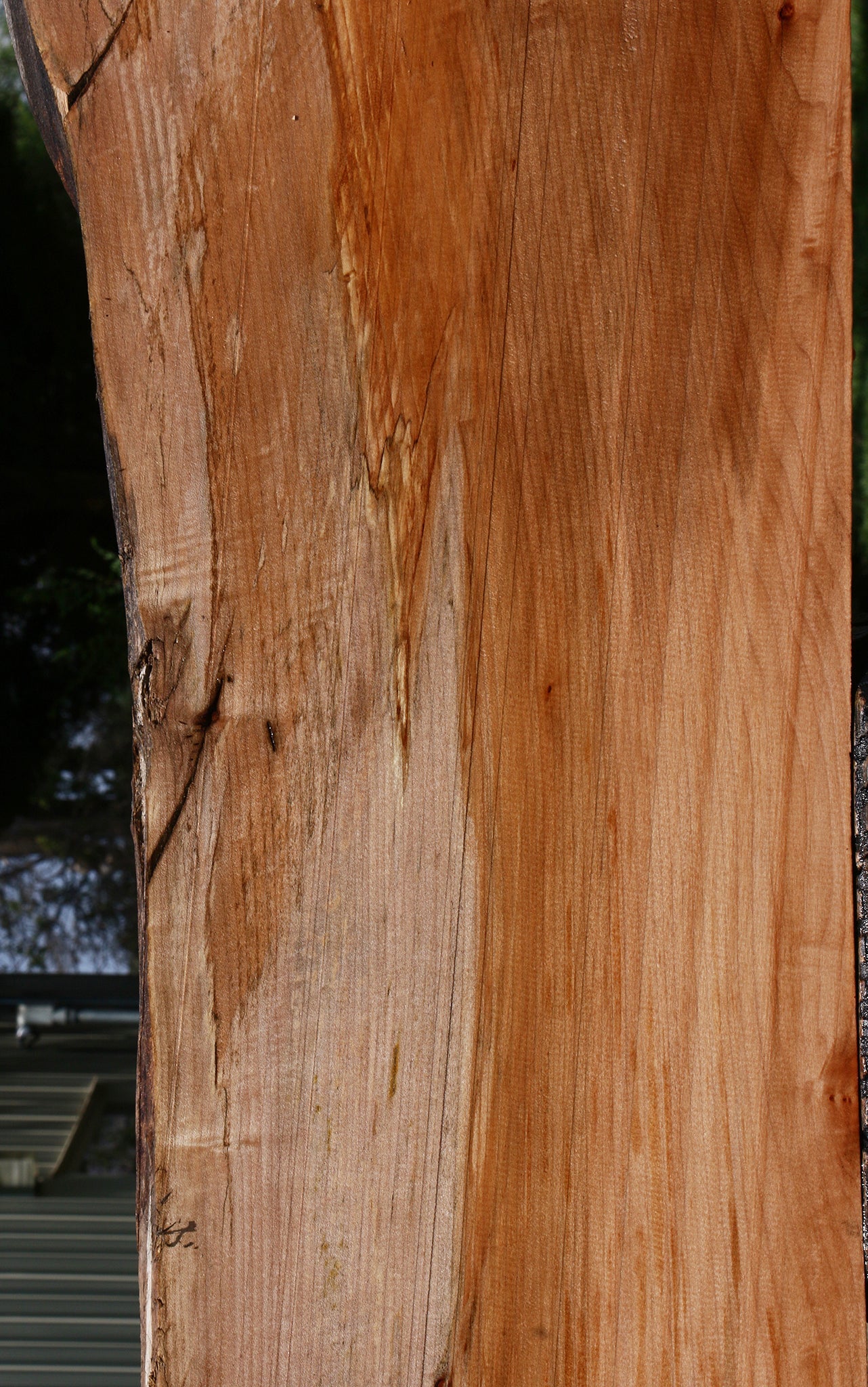 Maple Live Edge Mini Slab