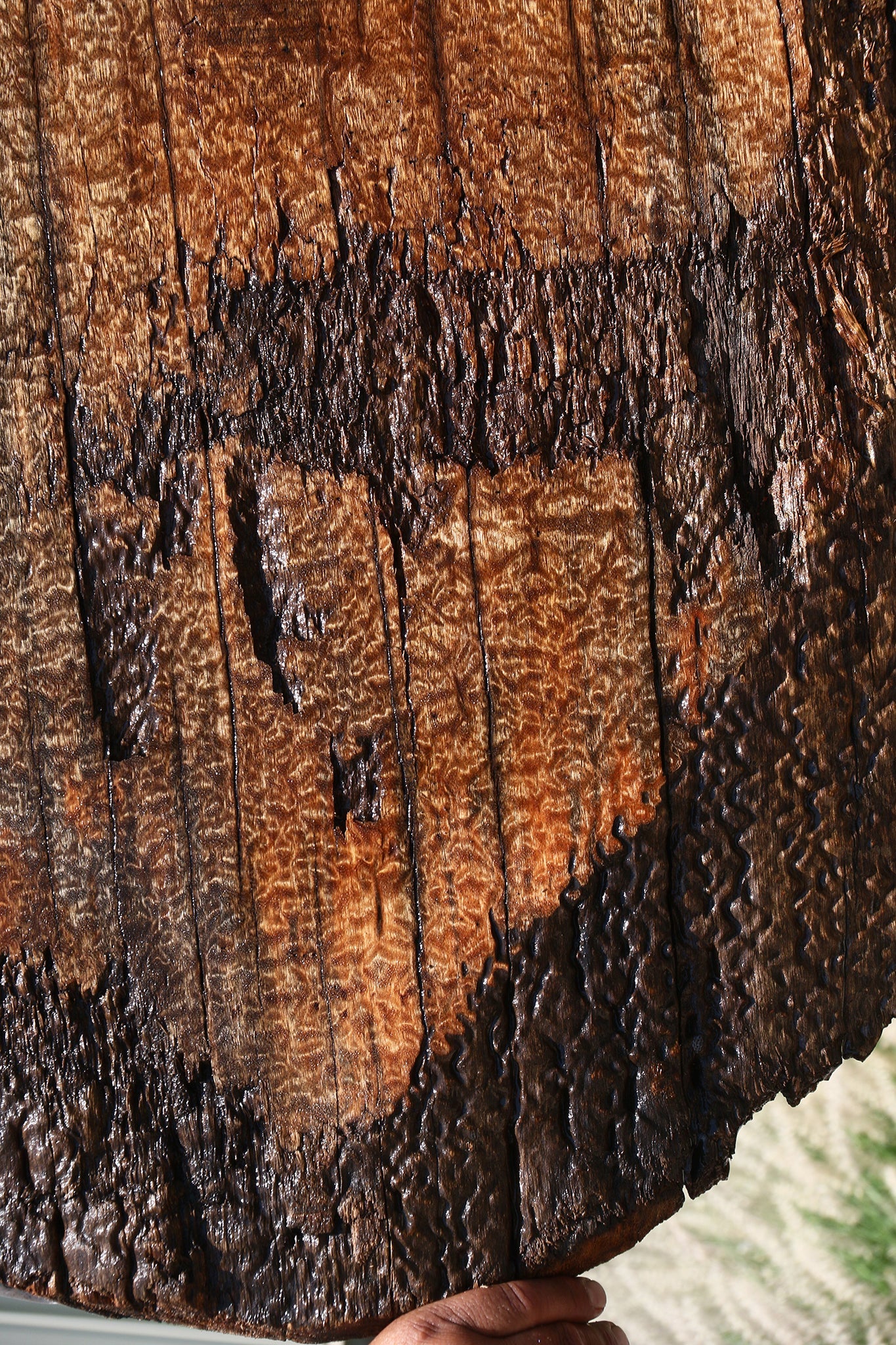 Rustic Pomelle Sapele Live Edge Mini Slab