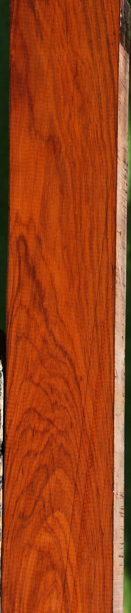 Cocobolo Lumber