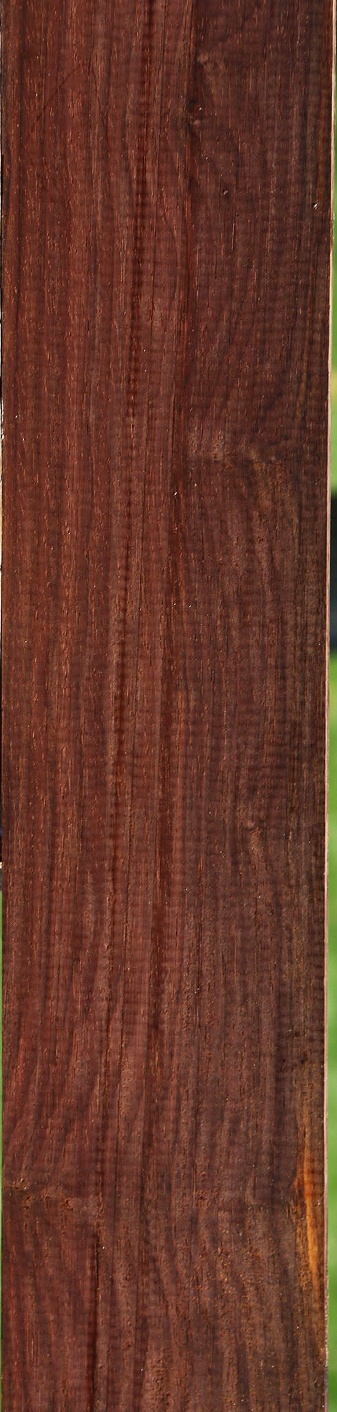 Cocobolo Micro Lumber