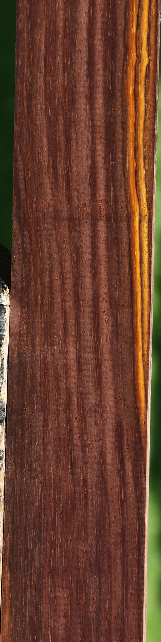 Cocobolo Micro Lumber