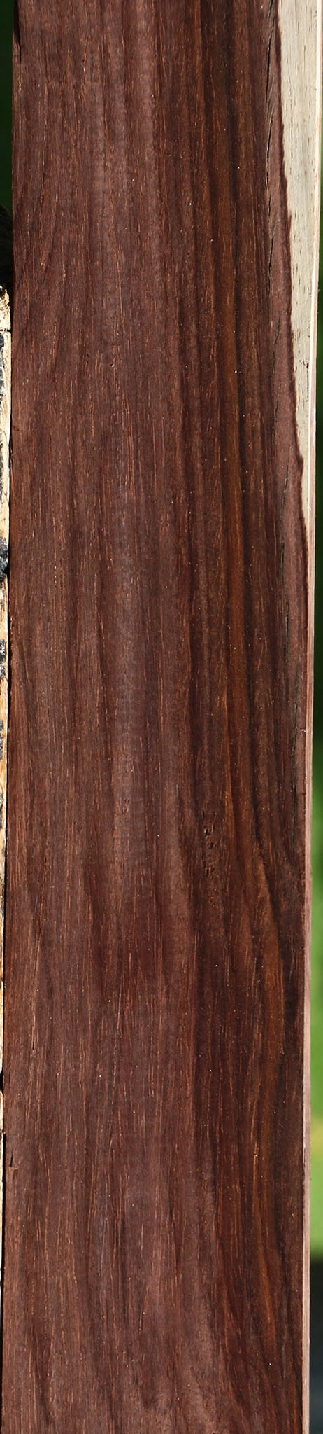 Cocobolo Micro Lumber