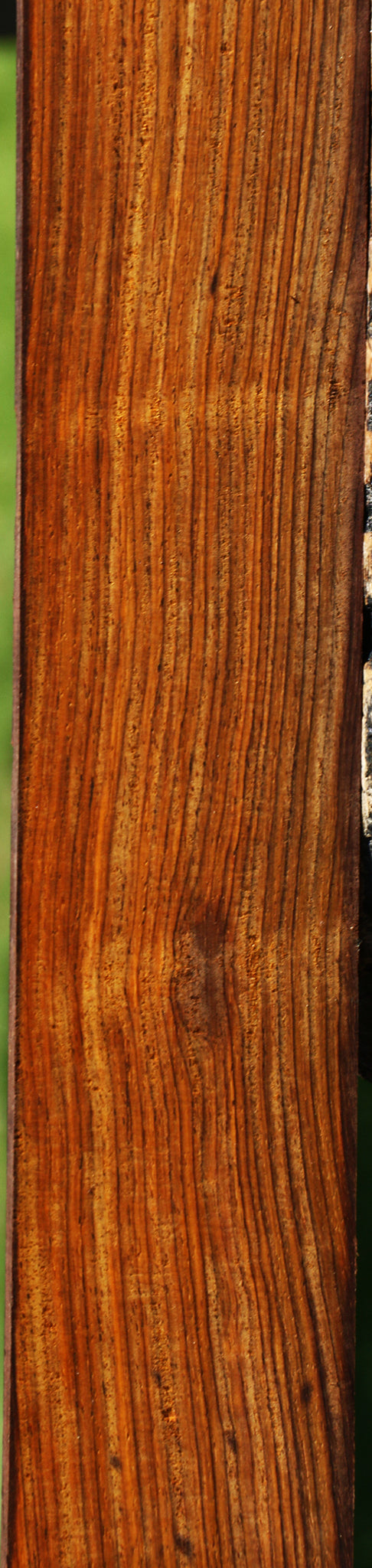 Cocobolo Micro Lumber