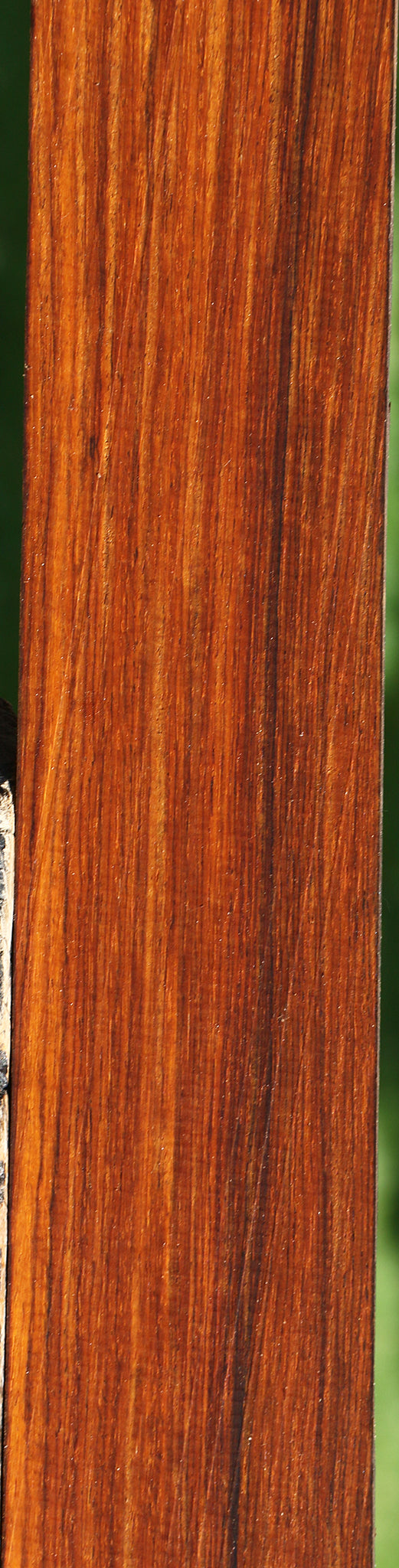 Quartersawn Cocobolo Instrument Micro Lumber