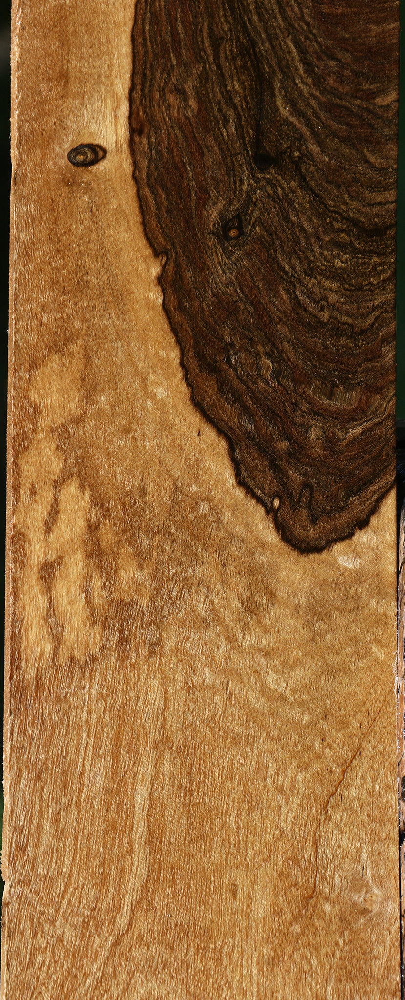 Extra Fancy Louro Preto Lumber