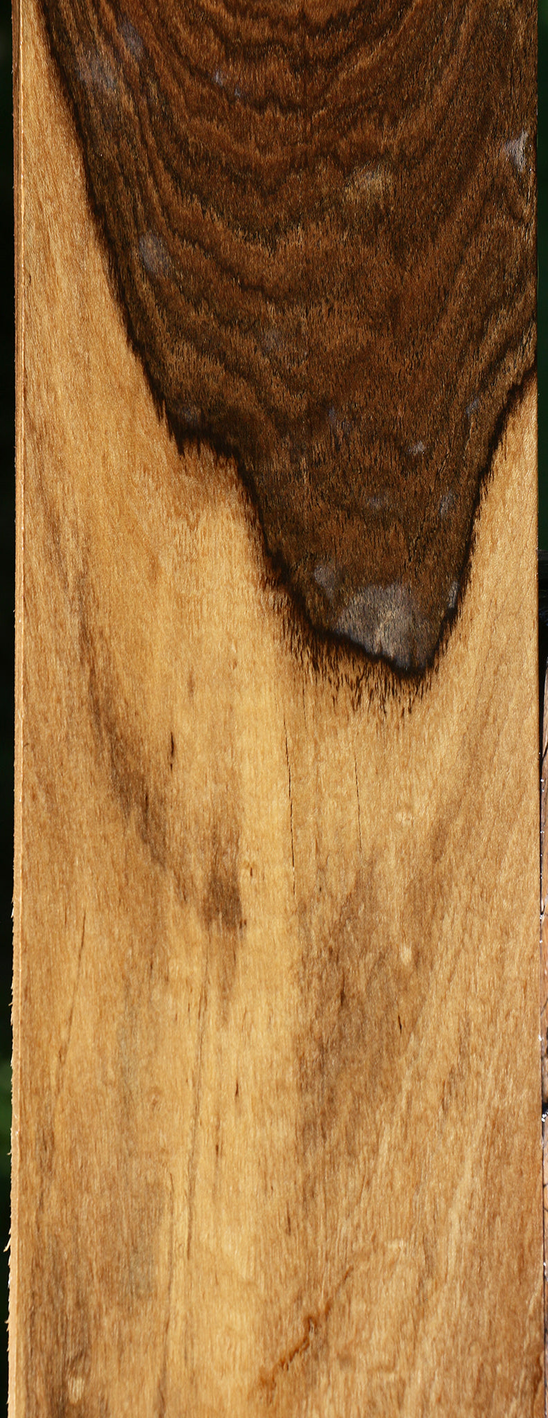 Figured Louro Preto Lumber