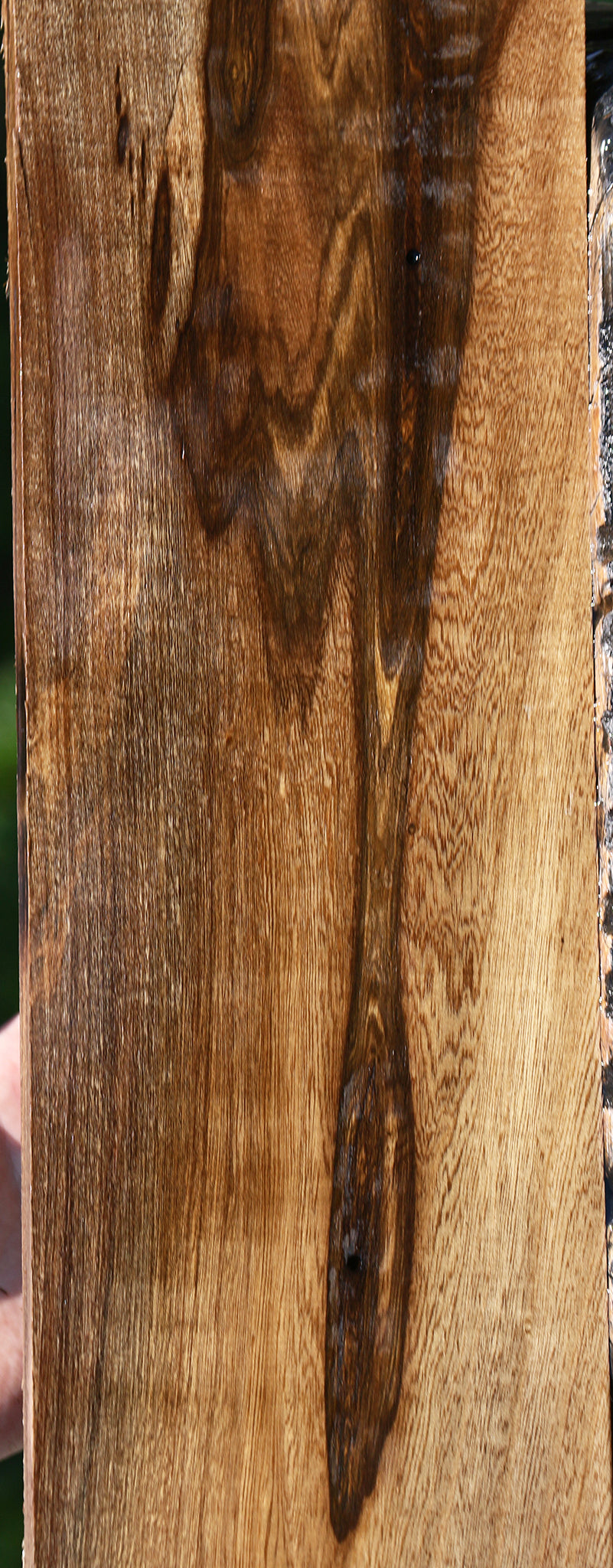 Figured Louro Preto Lumber