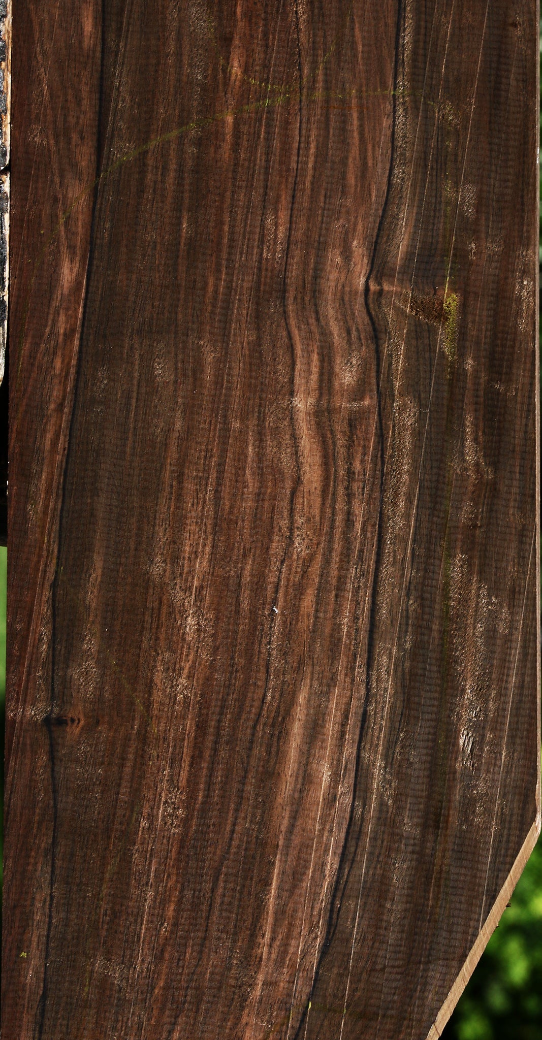 Extra Fancy Mun Ebony Lumber