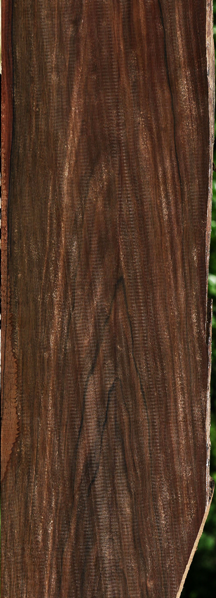 Figured Mun Ebony Lumber