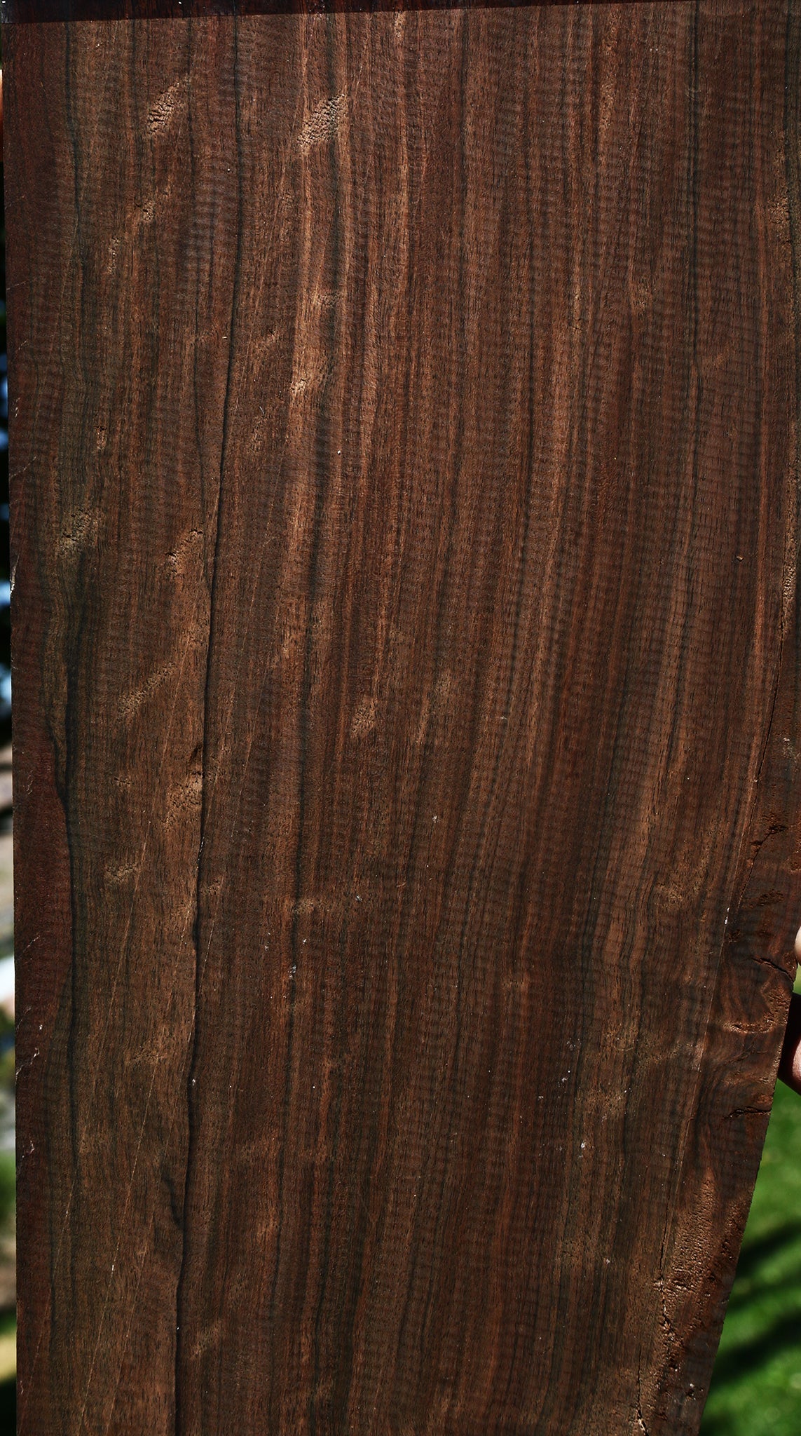 Extra Fancy Mun Ebony Instrument Lumber