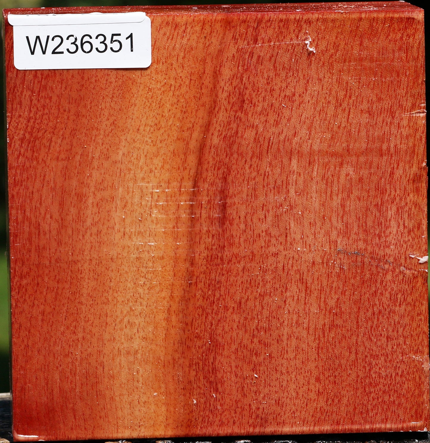 Pepperwood Bowl Blank