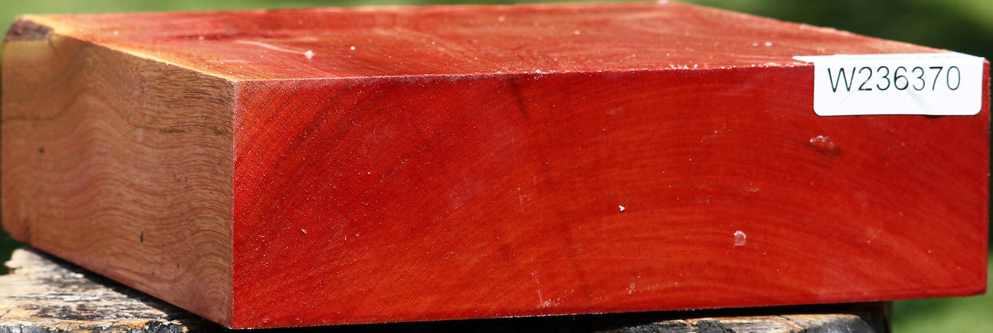 Pepperwood Bowl Blank