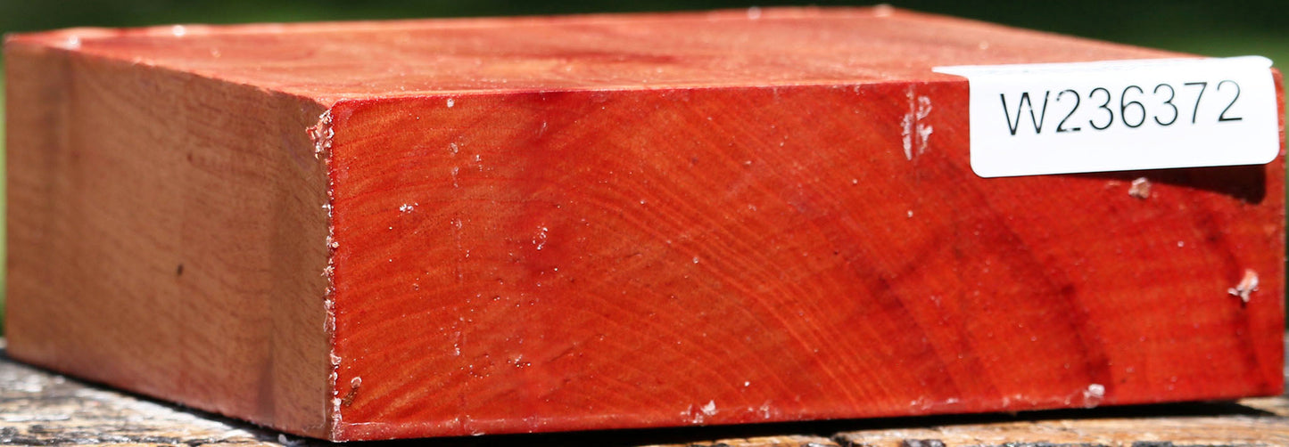 Figured Pepperwood Bowl Blank
