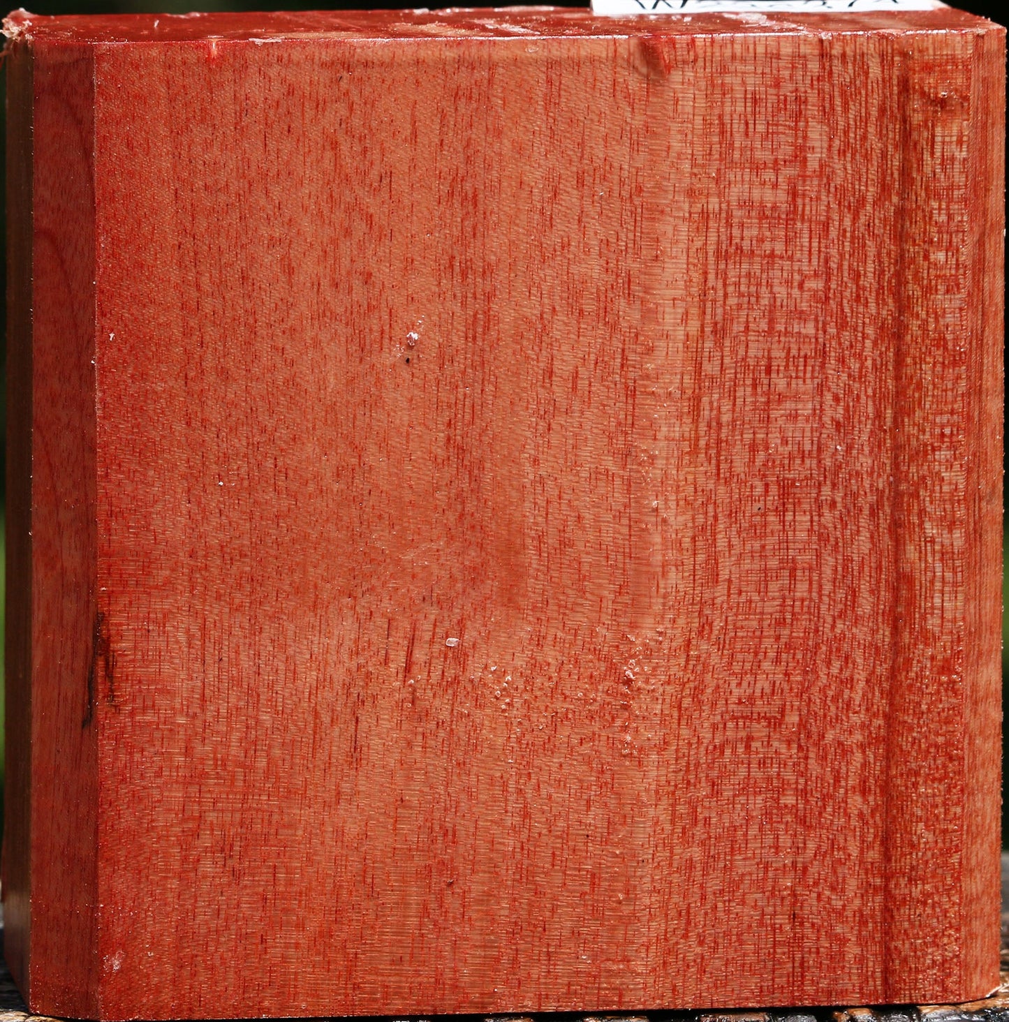 Pepperwood Bowl Blank