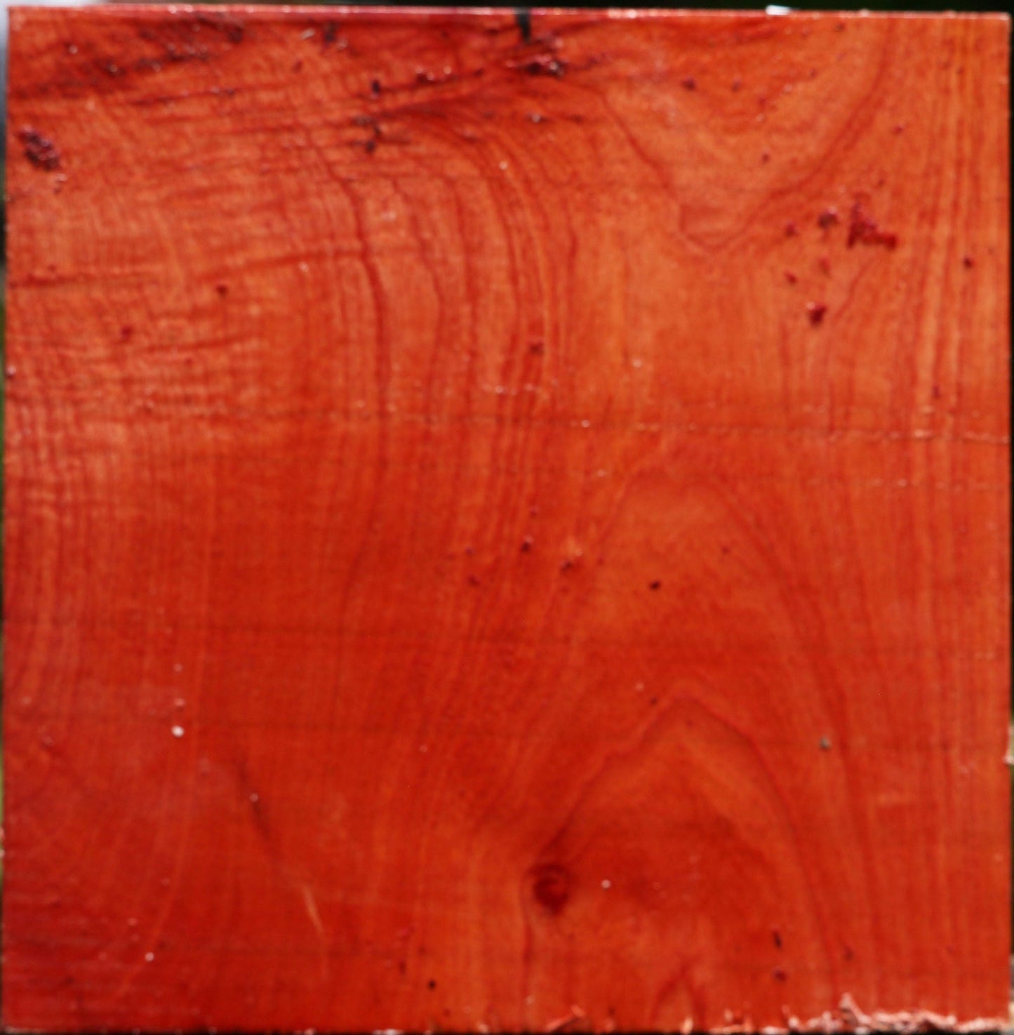 Extra Fancy Pepperwood Bowl Blank