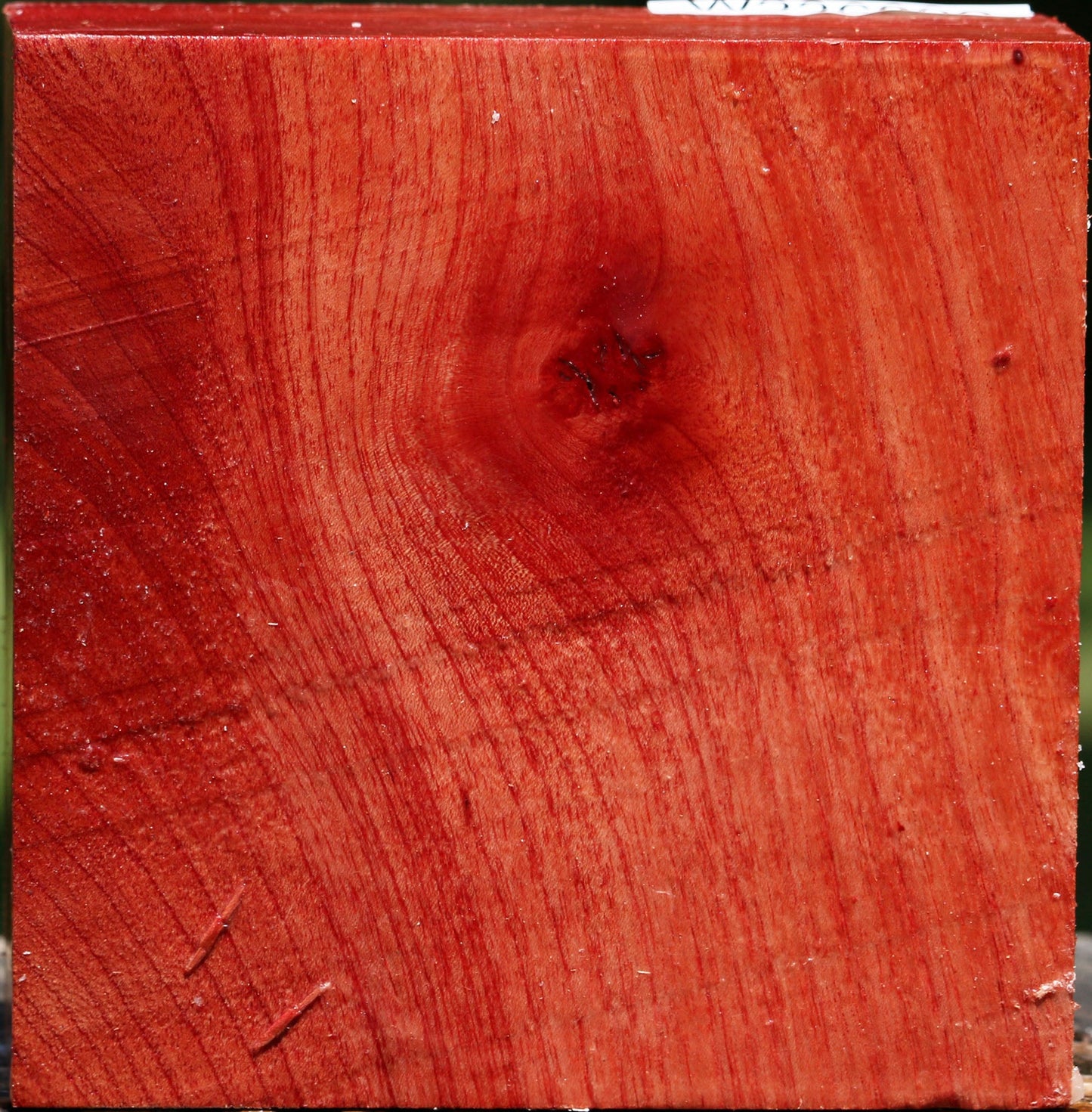 Pepperwood Bowl Blank