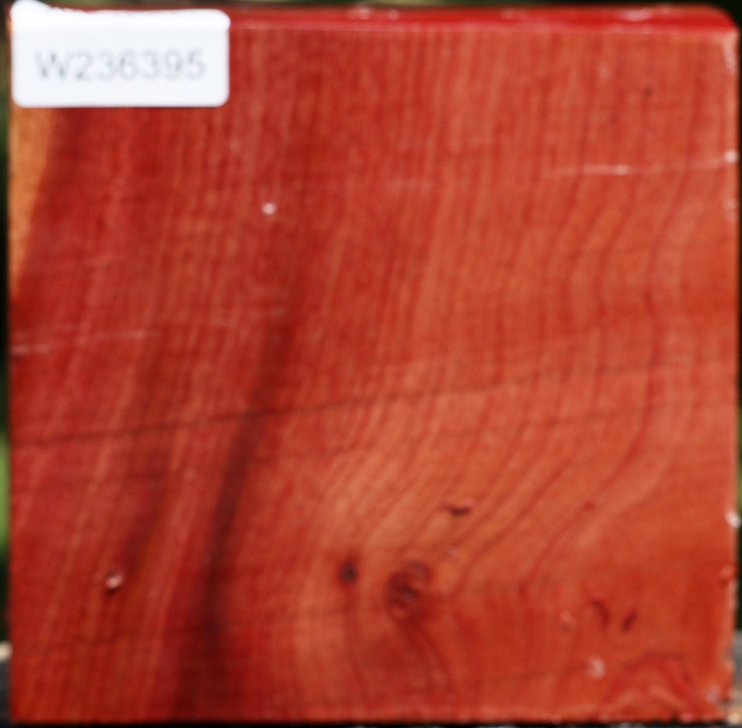 Pepperwood Bowl Blank