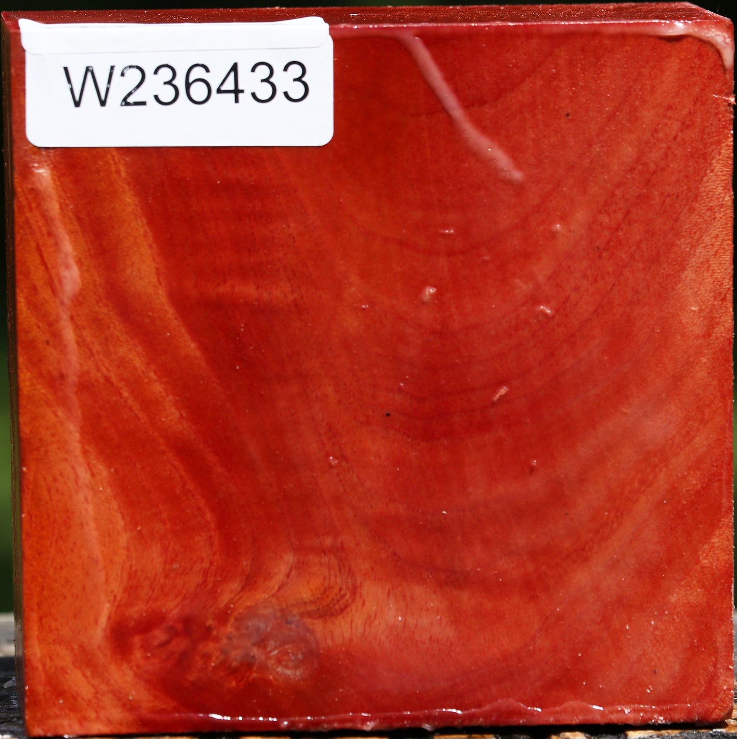 Pepperwood Bowl Blank