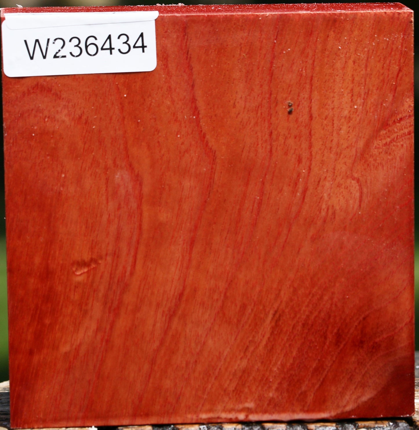 Figured Pepperwood Bowl Blank