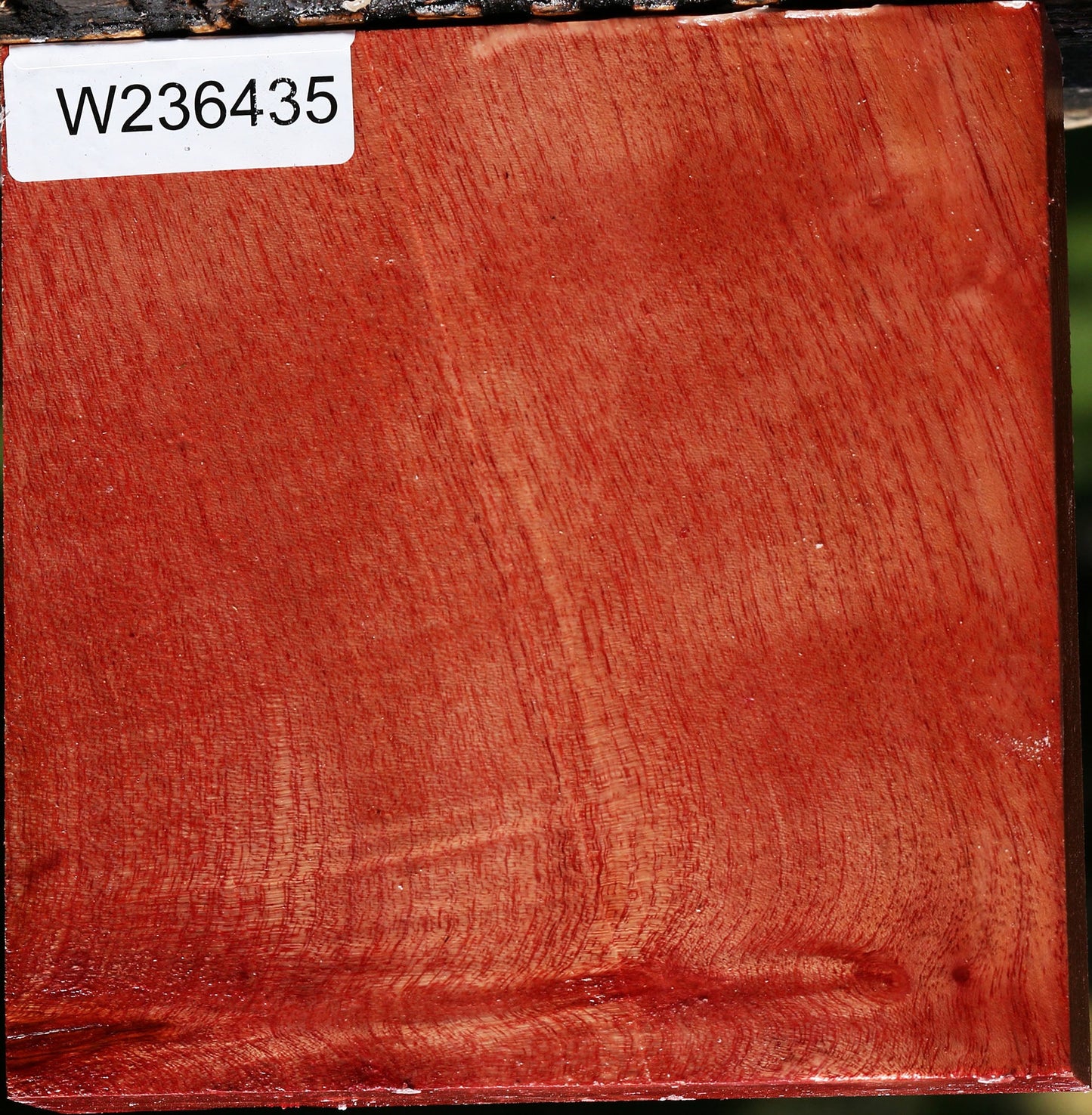 Figured Pepperwood Bowl Blank