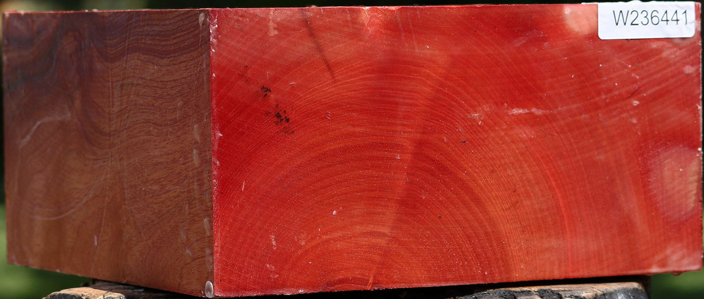 Pepperwood Bowl Blank