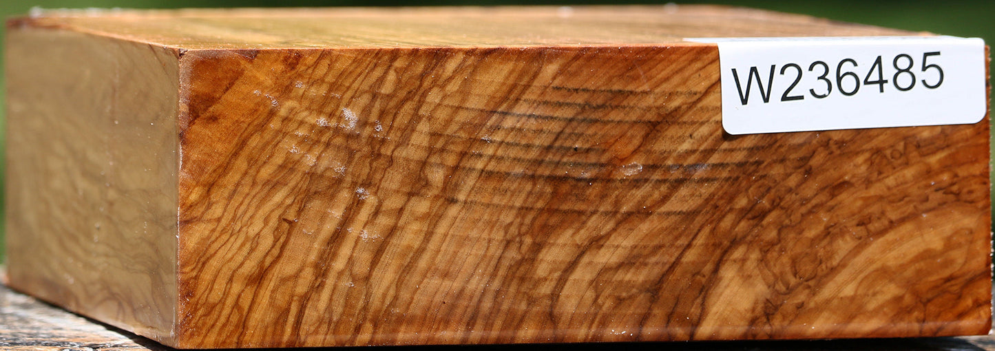 Extra Fancy Italian Olive Bowl Blank