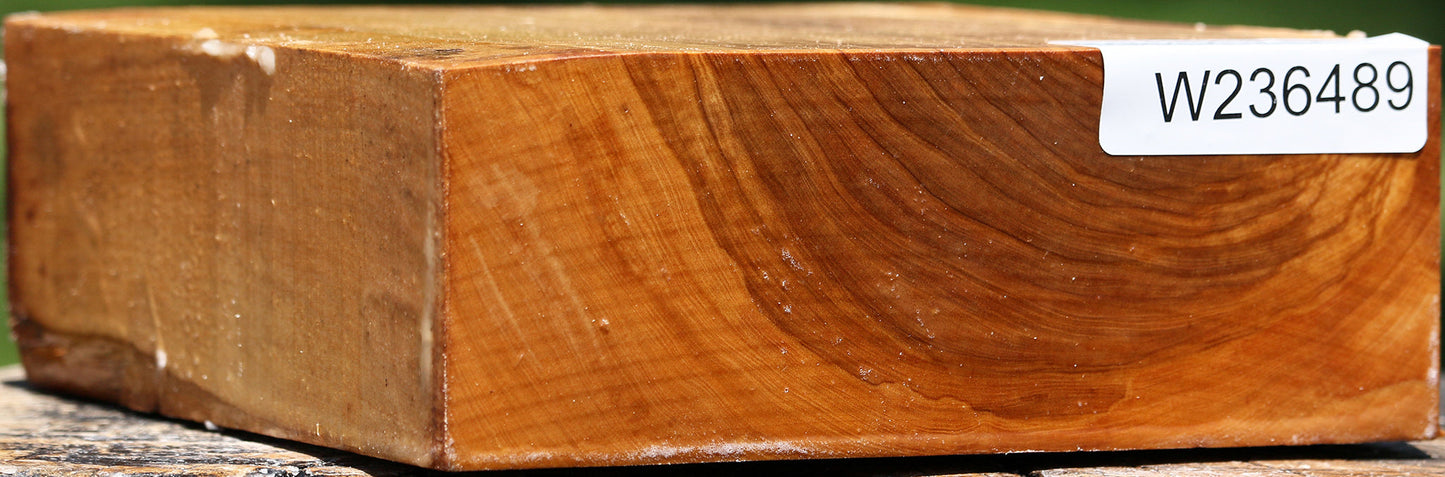 Italian Olive Bowl Blank