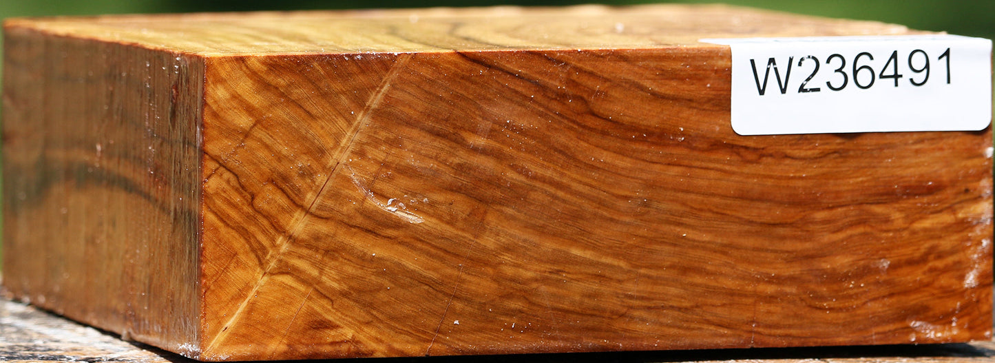 Italian Olive Bowl Blank