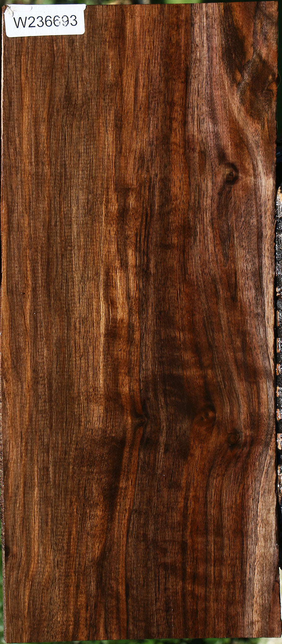 Extra Fancy Claro Walnut Instrument Lumber