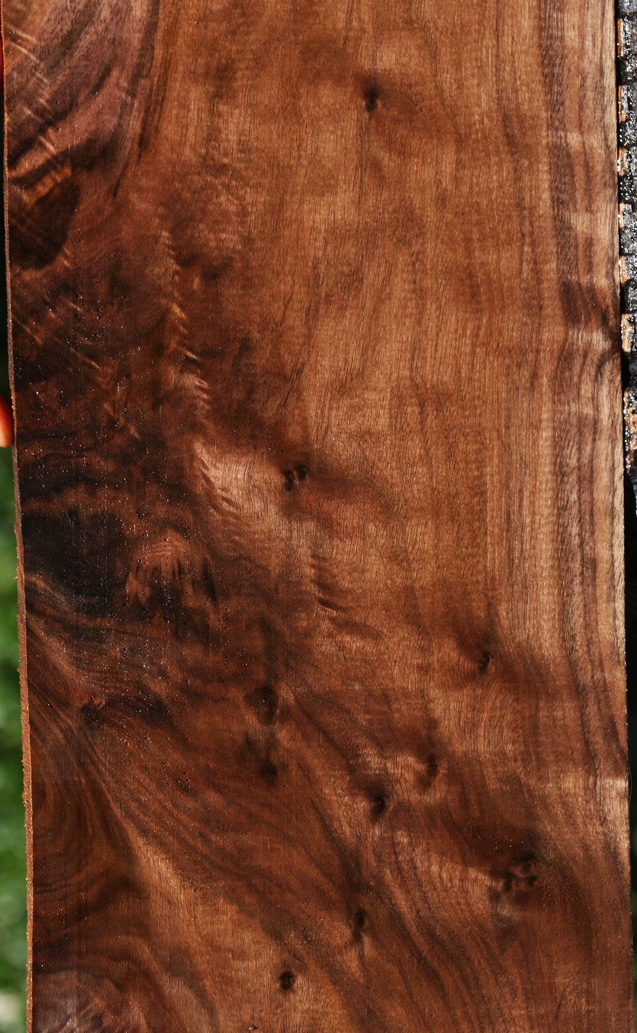 Figured Claro Walnut Lumber