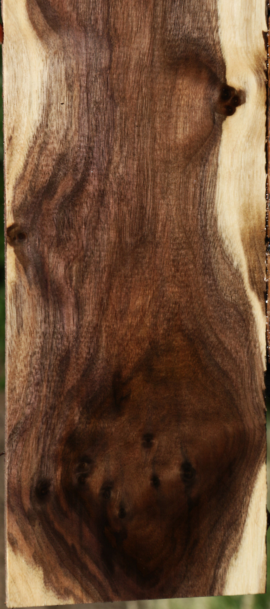 Figured Claro Walnut Micro Lumber