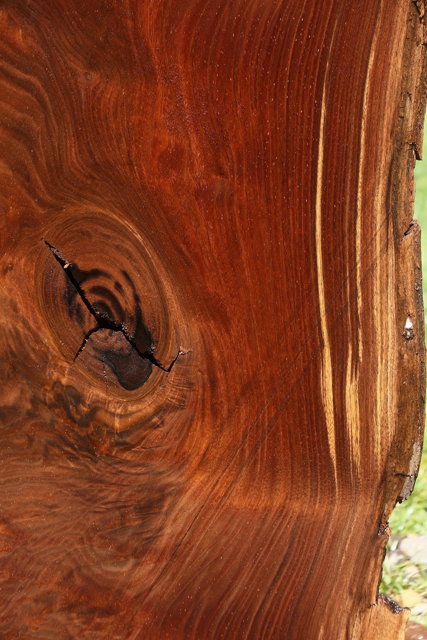 Figured Claro Walnut Live Edge Slab
