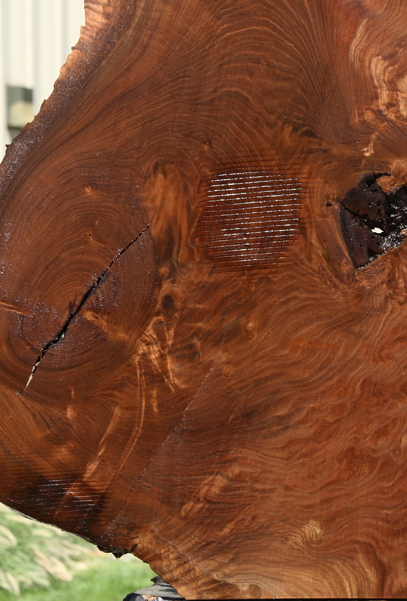 Figured Claro Walnut Live Edge Mini Slab