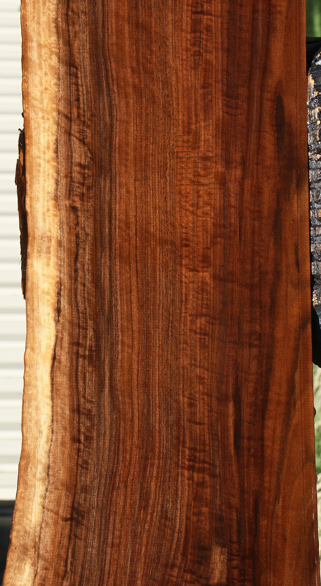 Extra Fancy Claro Walnut Live Edge Mantel