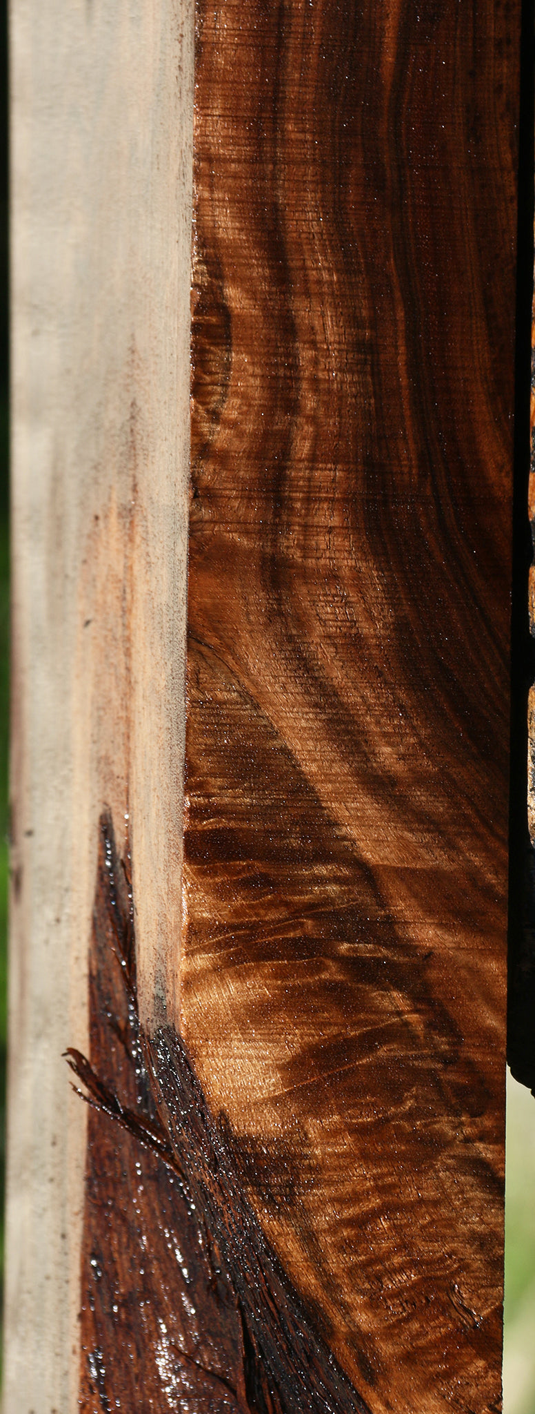 Extra Fancy Claro Walnut Mini Slab