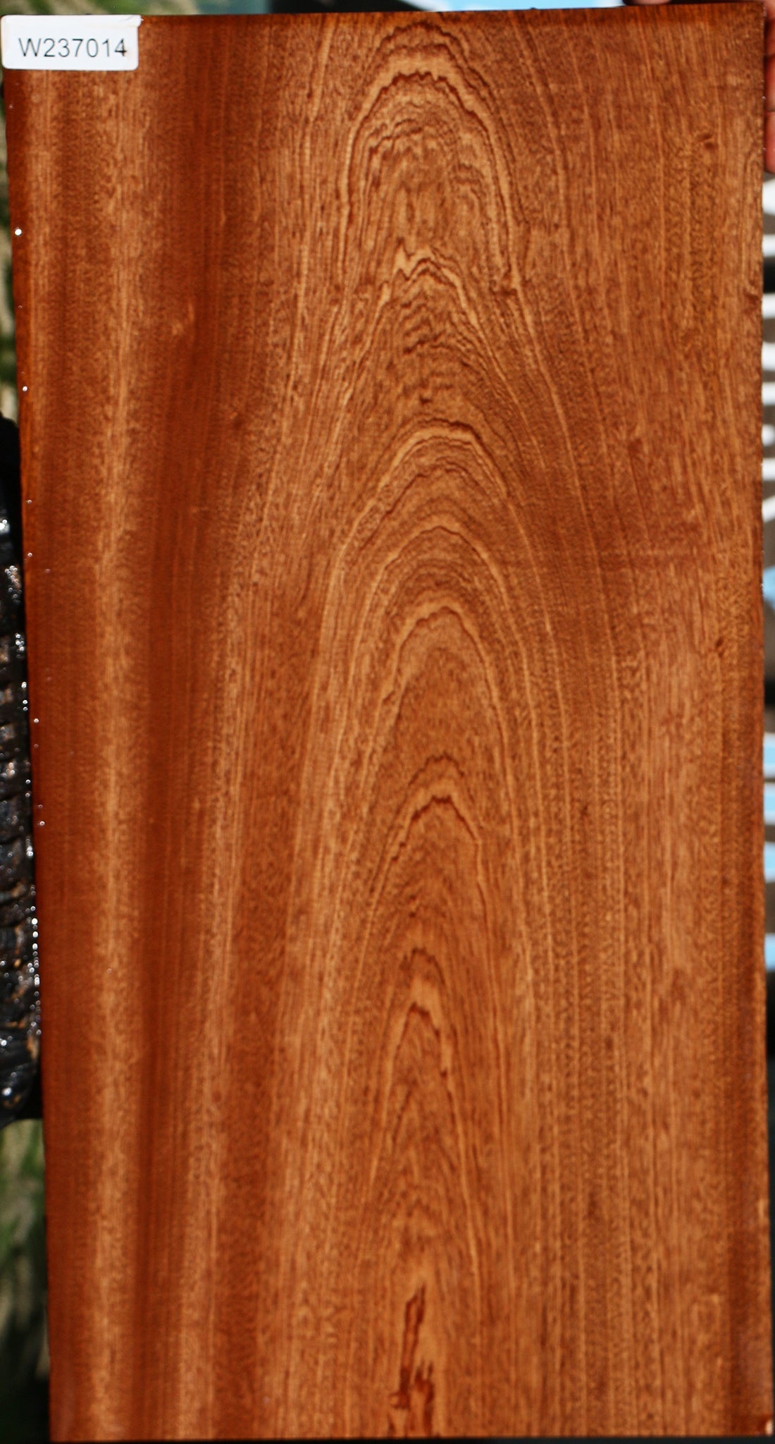 Sapele Lumber